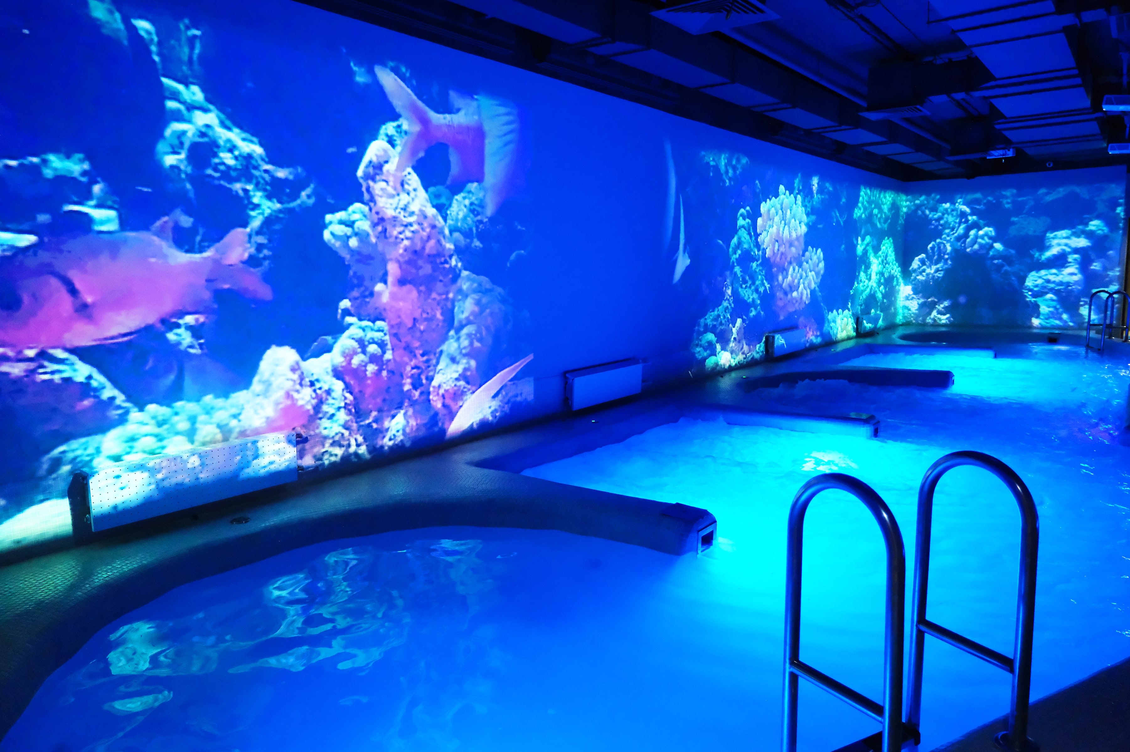 Уникальные водные пространства в Тортуге - единственный в стране бассейн с иммерсивным экраном